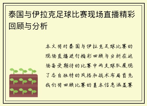 泰国与伊拉克足球比赛现场直播精彩回顾与分析