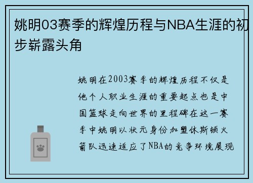 姚明03赛季的辉煌历程与NBA生涯的初步崭露头角